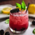 Blackberry Lemon Mocktail