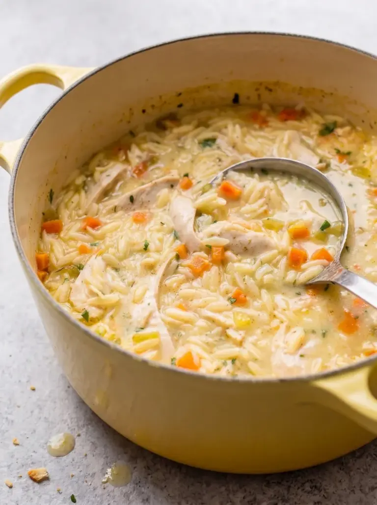 Chicken Orzo Soup
