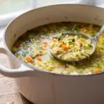 Chicken Vegetable and Orzo Soup